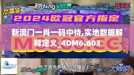 新澳门一肖一码中恃,实地数据解释定义_4DM6.603