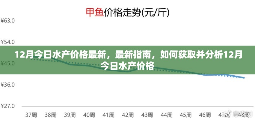 12月今日水产价格最新，最新指南，如何获取并分析12月今日水产价格