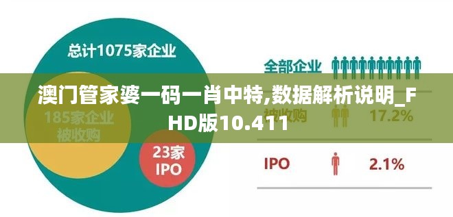 澳门管家婆一码一肖中特,数据解析说明_FHD版10.411