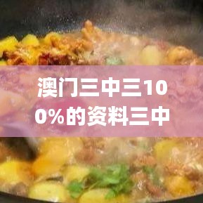 澳门三中三100%的资料三中三,适用计划解析方案_特别版5.469