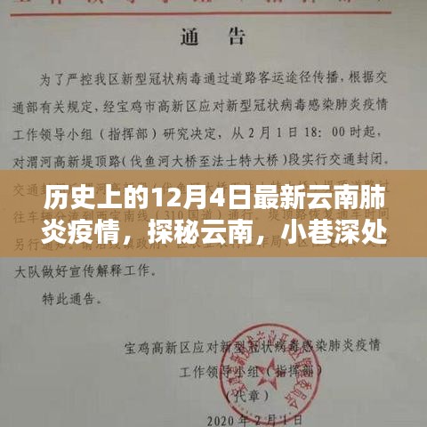 探秘云南特色小店与疫情记忆，历史上的十二月四日云南肺炎疫情回顾