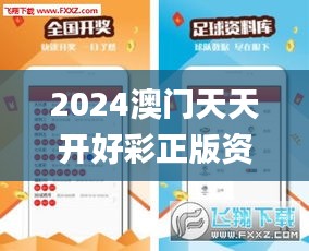 2024澳门天天开好彩正版资料大全,快速问题处理策略_XE版7.411