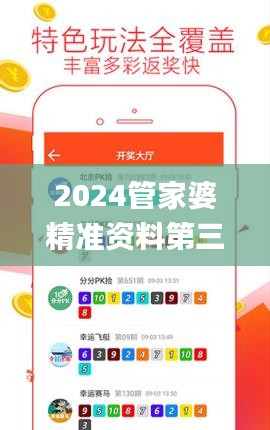 2024管家婆精准资料第三,专家意见解释定义_HD4.437