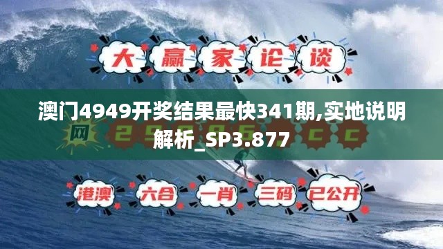 澳门4949开奖结果最快341期,实地说明解析_SP3.877