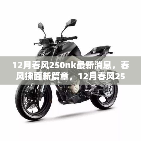 春风拂面新篇章，12月春风250nk全面评测与最新消息介绍