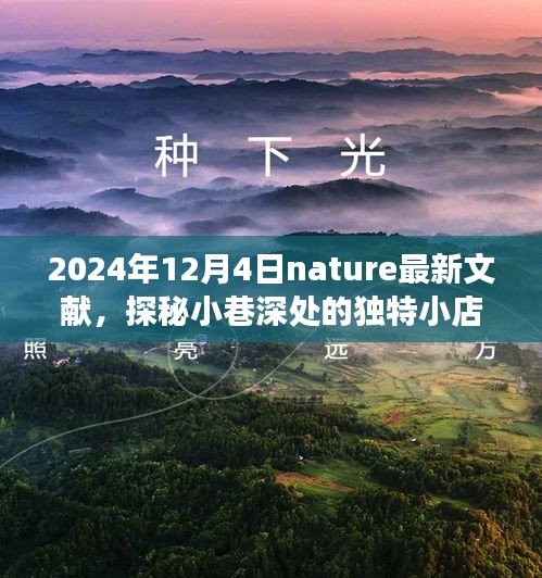 Nature最新文献揭示，小巷深处的独特小店，美食天堂的隐藏宝藏（2024年12月4日）