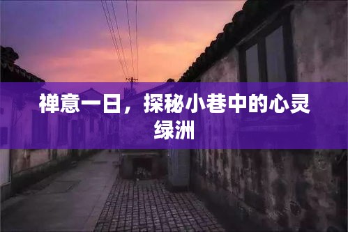 禅意一日，心灵绿洲探秘于小巷之中