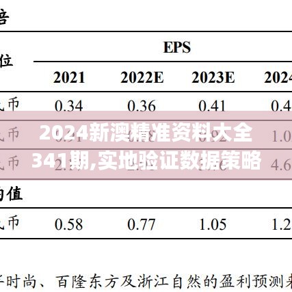 2024新澳精准资料大全341期,实地验证数据策略_探索版8.331