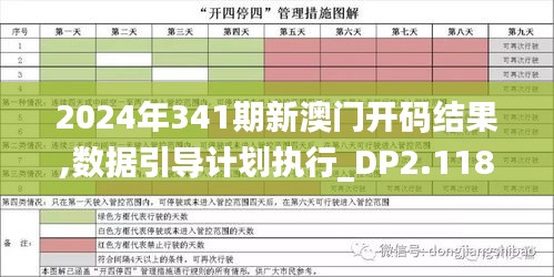 2024年341期新澳门开码结果,数据引导计划执行_DP2.118