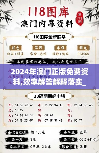 2024年澳门正版免费资料,效率解答解释落实_开发版15.914