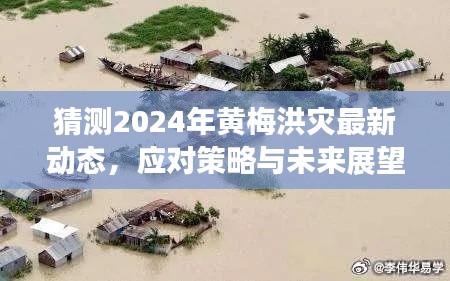 2024年黄梅洪灾预测最新动态、应对策略及未来展望