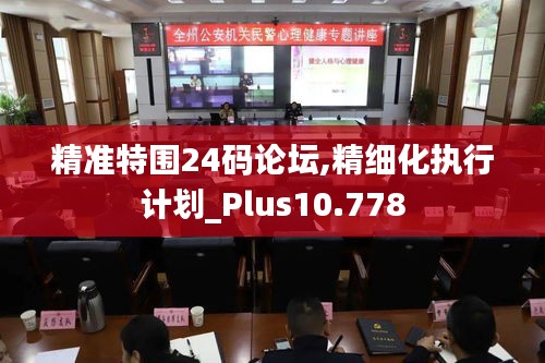 精准特围24码论坛,精细化执行计划_Plus10.778