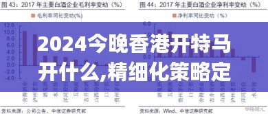 2024今晚香港开特马开什么,精细化策略定义探讨_增强版19.555