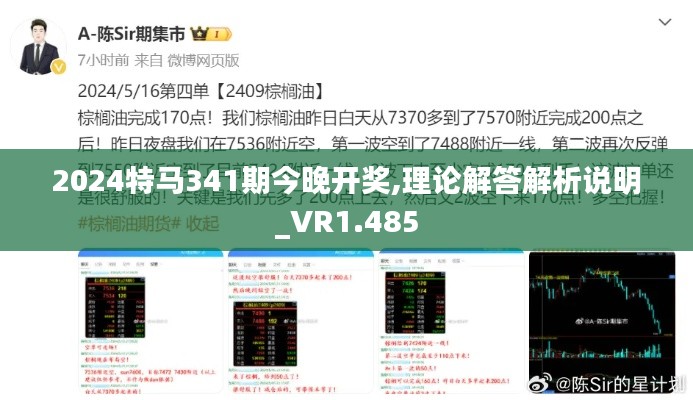 2024特马341期今晚开奖,理论解答解析说明_VR1.485