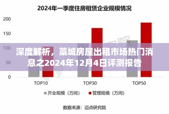 藁城房屋出租市场评测报告，深度解析与热门消息（2024年12月4日）