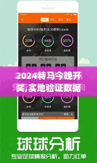 2024特马今晚开奖,实地验证数据设计_Mixed9.433