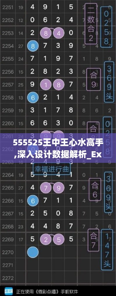 555525王中王心水高手,深入设计数据解析_Executive1.649