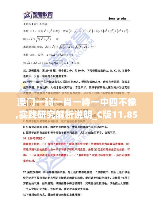 澳门一码一肖一待一中四不像,实践研究解析说明_C版11.853