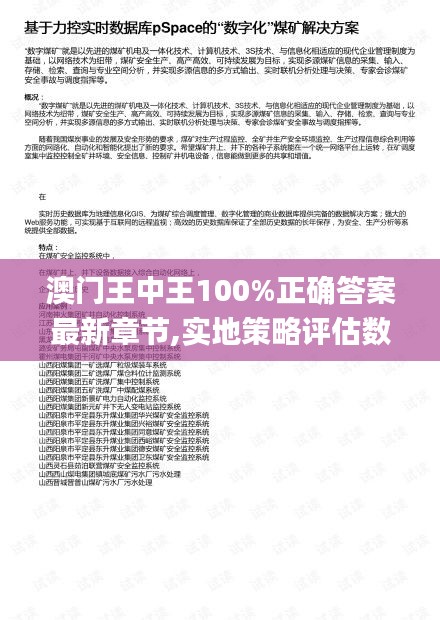 澳门王中王100%正确答案最新章节,实地策略评估数据_D版10.304