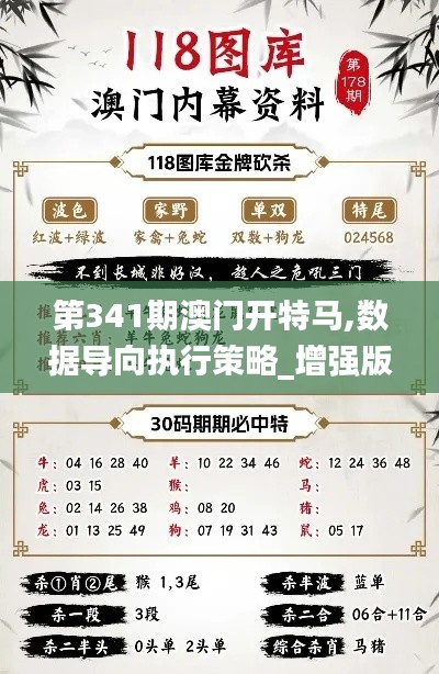 第341期澳门开特马,数据导向执行策略_增强版18.629