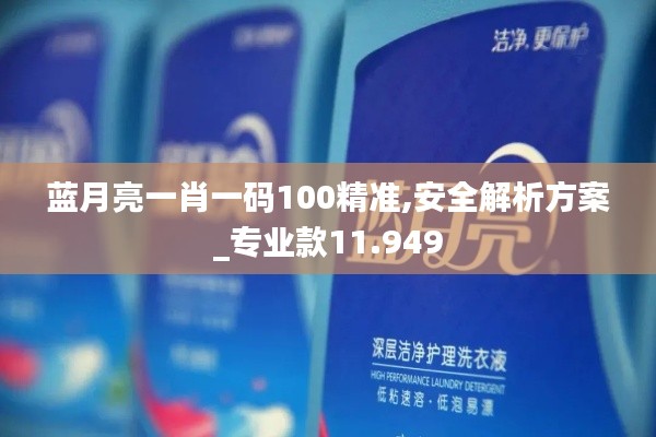 蓝月亮一肖一码100精准,安全解析方案_专业款11.949