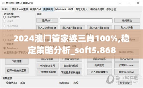 2024澳门管家婆三肖100%,稳定策略分析_soft5.868