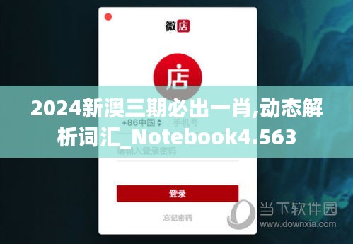 2024新澳三期必出一肖,动态解析词汇_Notebook4.563