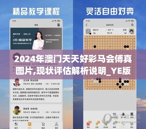 2024年澳门天天好彩马会傅真图片,现状评估解析说明_YE版7.177