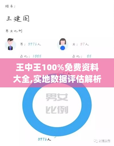 王中王100%免费资料大全,实地数据评估解析_战斗版1.569