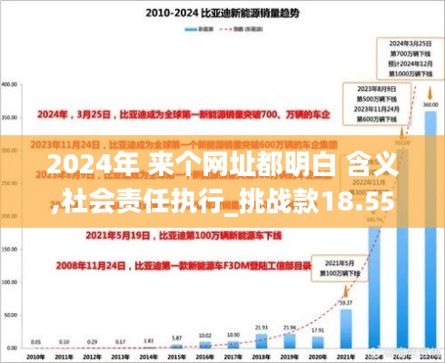 2024年 来个网址都明白 含义,社会责任执行_挑战款18.559