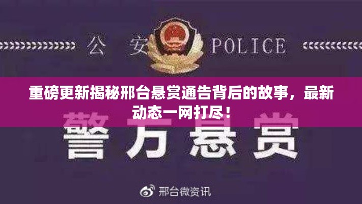 揭秘邢台悬赏通告背后的故事，最新动态汇总重磅更新！