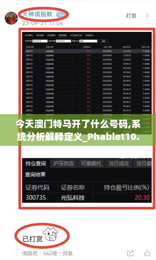 今天澳门特马开了什么号码,系统分析解释定义_Phablet10.254