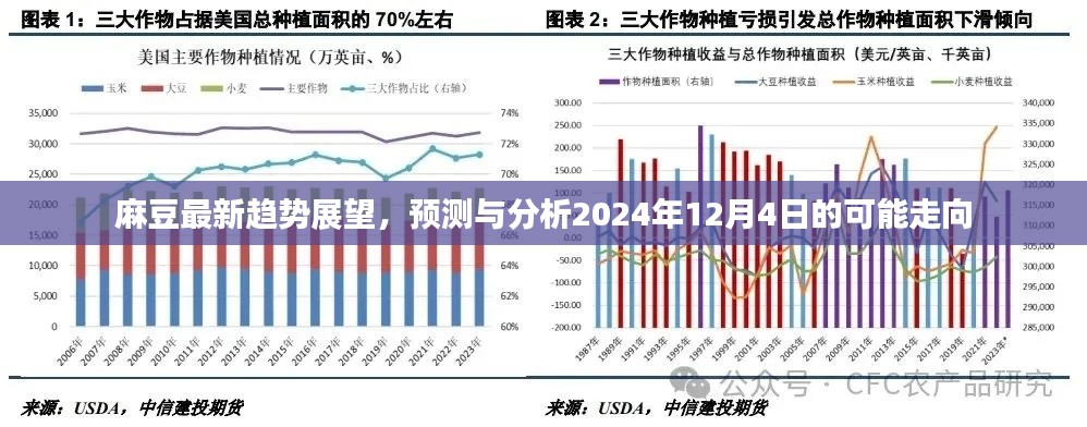 麻豆最新趋势展望，预测与分析麻豆时尚潮流走向至2024年12月4日