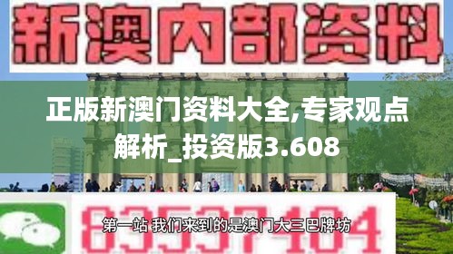 正版新澳门资料大全,专家观点解析_投资版3.608