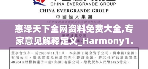 惠泽天下全网资料免费大全,专家意见解释定义_Harmony1.978