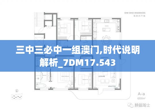 三中三必中一组澳门,时代说明解析_7DM17.543