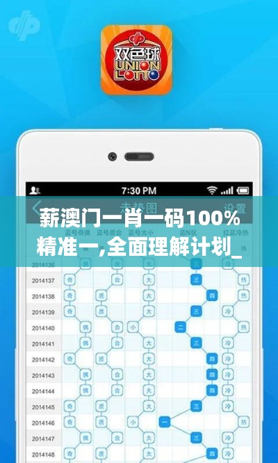 薪澳门一肖一码100%精准一,全面理解计划_Elite3.294