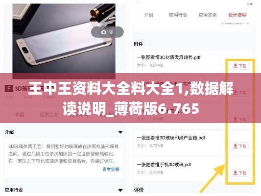 王中王资料大全料大全1,数据解读说明_薄荷版6.765