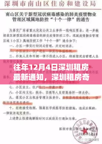 深圳租房奇遇记，往年通知下的暖心故事与温馨小屋