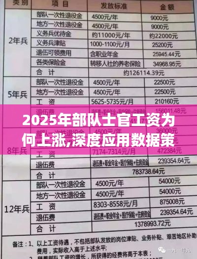 2025年部队士官工资为何上涨,深度应用数据策略_储蓄版2.401