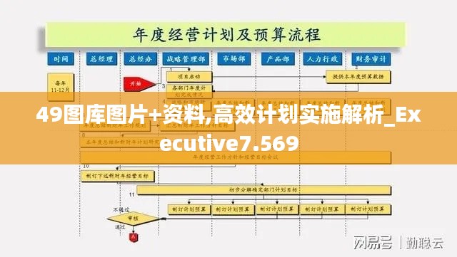 49图库图片+资料,高效计划实施解析_Executive7.569