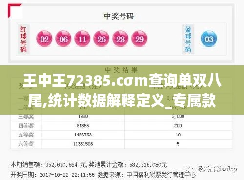 王中王72385.cσm查询单双八尾,统计数据解释定义_专属款2.926