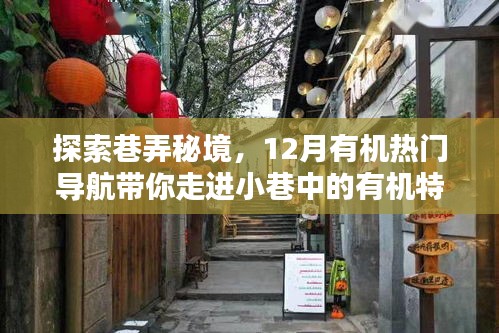 探索巷弄秘境，有机热门导航带你走进小巷中的有机特色小店之旅