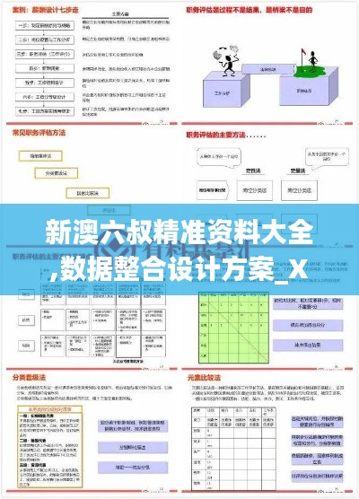 新澳六叔精准资料大全,数据整合设计方案_XP3.880