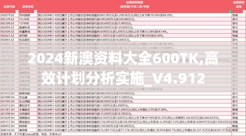 2024新澳资料大全600TK,高效计划分析实施_V4.912