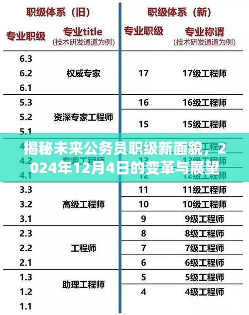 揭秘未来公务员职级新面貌，变革与展望（2024年展望）