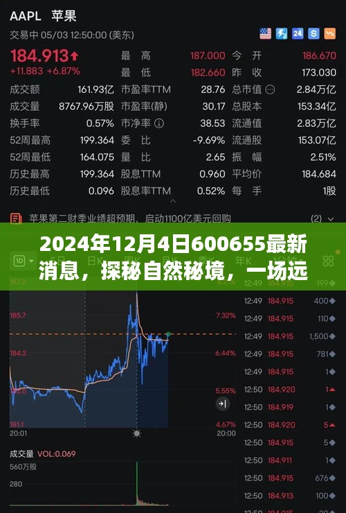 探秘自然秘境，未来好消息与美景分享——来自2024年12月4日的最新消息