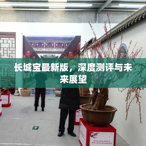 长城宝最新版深度测评与未来展望分析