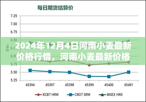 河南小麦最新价格行情深度解析，聚焦粮价波动与预测（2024年12月4日）