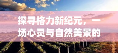 格力新纪元心灵之旅，探寻未知奇迹与自然的融合奇迹（2024年12月4日）